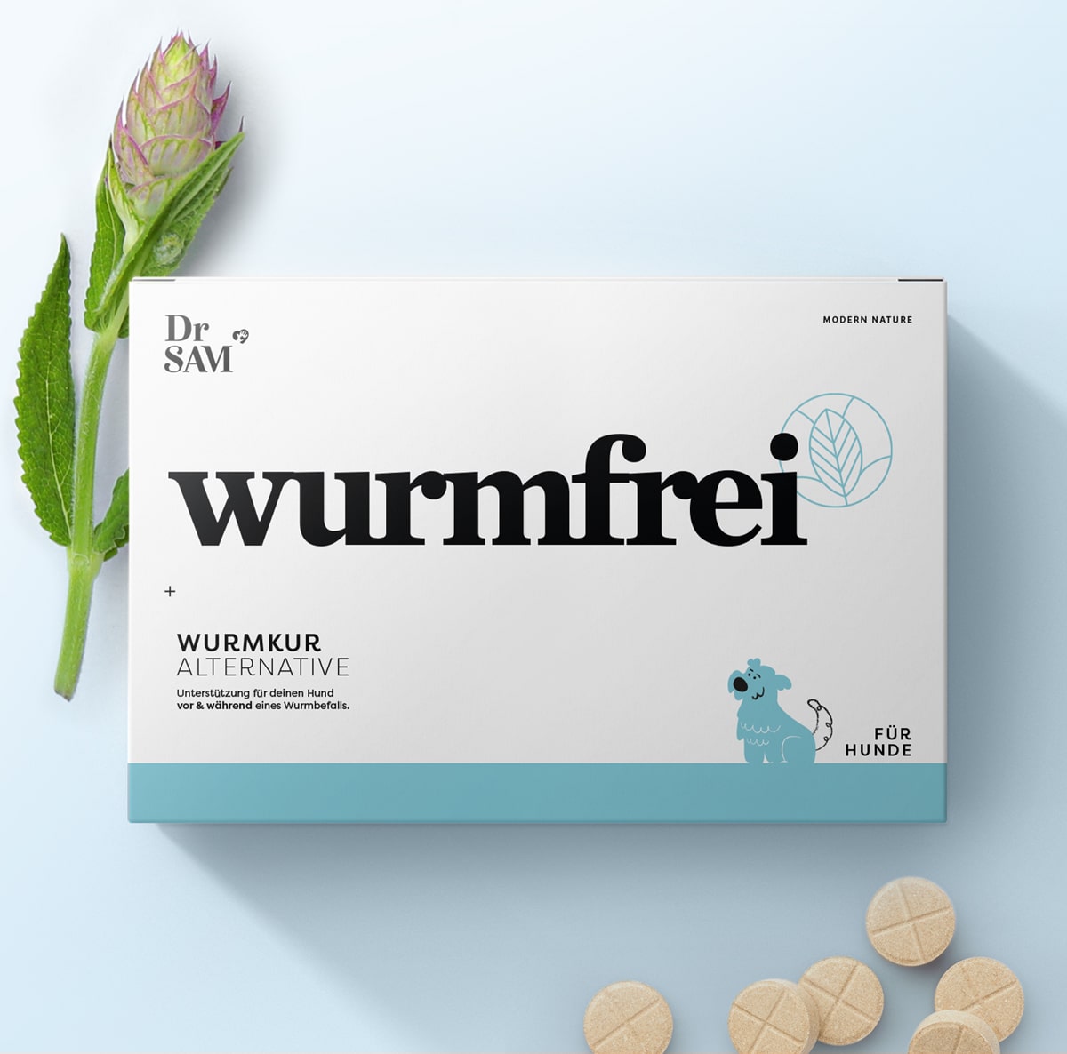 was kostet eine wurmkur für hunde